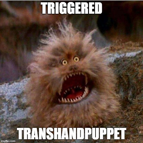TRIGGERED; TRANSHANDPUPPET | image tagged in triggered | made w/ Imgflip meme maker