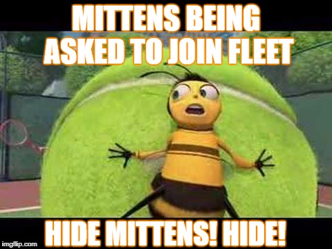 Mittens Being Asked to Join Fleet | MITTENS BEING ASKED TO JOIN FLEET; HIDE MITTENS! HIDE! | image tagged in eve online | made w/ Imgflip meme maker