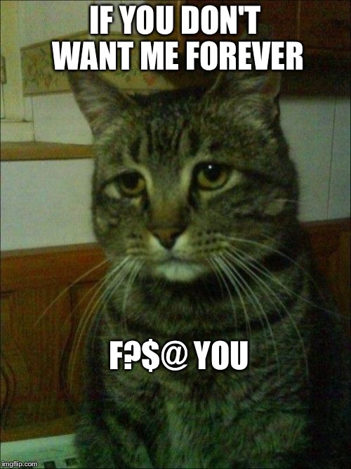 Depressed Cat | IF YOU DON'T WANT ME FOREVER; F?$@ YOU | image tagged in memes,depressed cat | made w/ Imgflip meme maker