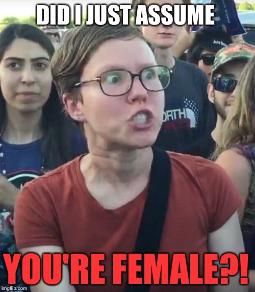 DID I JUST ASSUME YOU'RE FEMALE?! | made w/ Imgflip meme maker