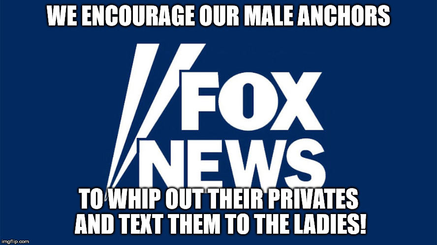 criminal fox news | WE ENCOURAGE OUR MALE ANCHORS; TO WHIP OUT THEIR PRIVATES AND TEXT THEM TO THE LADIES! | image tagged in criminal fox news | made w/ Imgflip meme maker