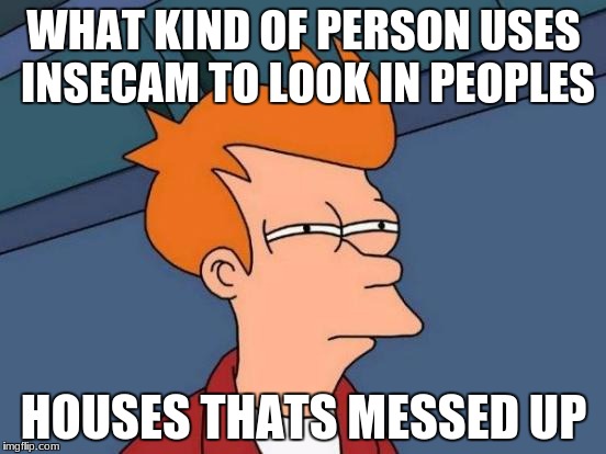 Futurama Fry Meme | WHAT KIND OF PERSON USES INSECAM TO LOOK IN PEOPLES; HOUSES THATS MESSED UP | image tagged in memes,futurama fry | made w/ Imgflip meme maker