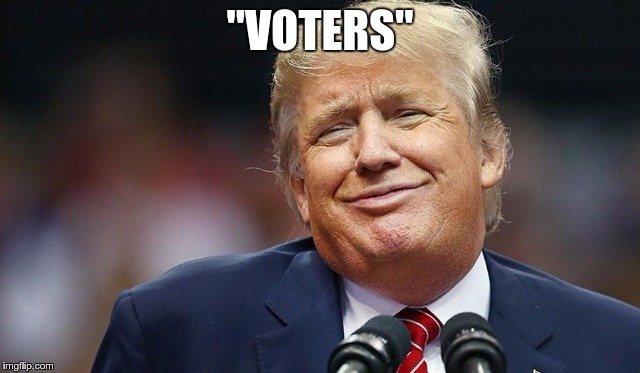 Trump Oopsie | "VOTERS" | image tagged in trump oopsie | made w/ Imgflip meme maker