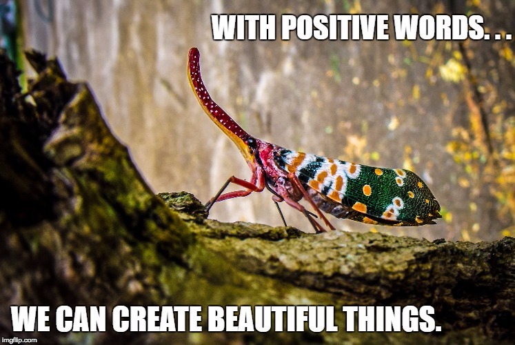 Create Beautiful Things | image tagged in inspirational quote,deep thoughts,wisdom,words of wisdom,creativity,positive thinking | made w/ Imgflip meme maker