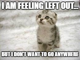 Sad Cat Meme | I AM FEELING LEFT OUT... BUT I DON'T WANT TO GO ANYWHERE | image tagged in memes,sad cat | made w/ Imgflip meme maker