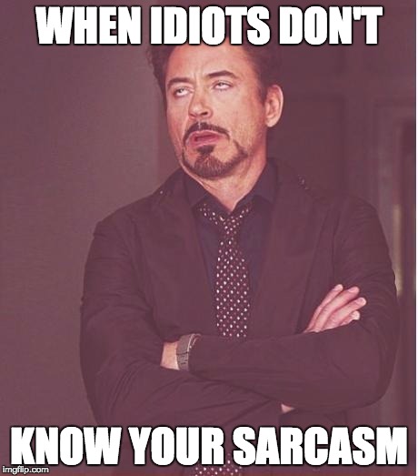 Face You Make Robert Downey Jr | WHEN IDIOTS DON'T; KNOW YOUR SARCASM | image tagged in memes,face you make robert downey jr | made w/ Imgflip meme maker