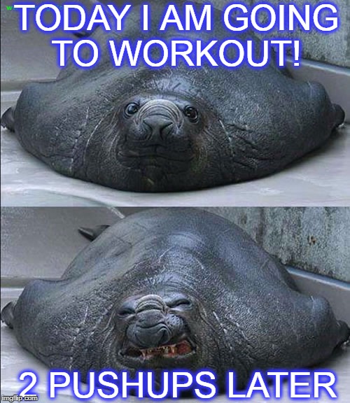 TODAY I AM GOING TO WORKOUT! 2 PUSHUPS LATER | image tagged in outta shape | made w/ Imgflip meme maker
