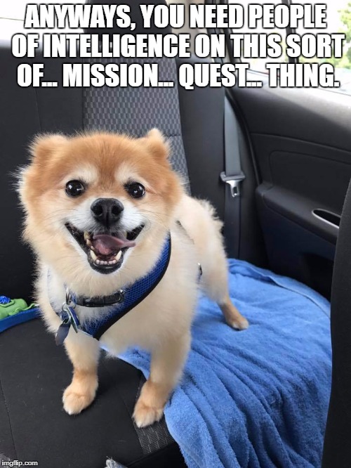 ANYWAYS, YOU NEED PEOPLE OF INTELLIGENCE ON THIS SORT OF... MISSION... QUEST... THING. | image tagged in lord of the rings,dogs | made w/ Imgflip meme maker