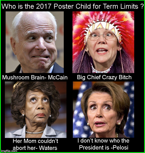 2017 Term Limit Poster Child --
Vote Today  | image tagged in term limits,current events,funny,politics lol,politics,front page | made w/ Imgflip meme maker