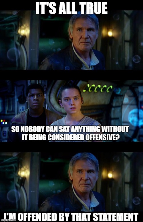 It's True All of It Han Solo Meme | IT'S ALL TRUE; SO NOBODY CAN SAY ANYTHING WITHOUT IT BEING CONSIDERED OFFENSIVE? I'M OFFENDED BY THAT STATEMENT | image tagged in memes,it's true all of it han solo | made w/ Imgflip meme maker