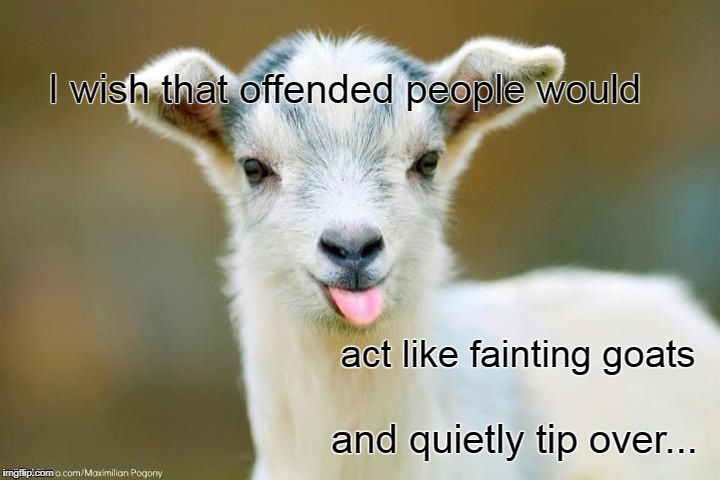 I wish... | I wish that offended people would; act like fainting goats; and quietly tip over... | image tagged in offended,people,fainting,goats,tip,over | made w/ Imgflip meme maker