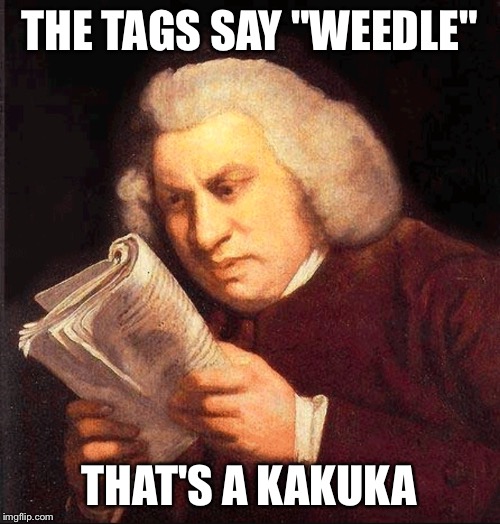 Confused Proofreading | THE TAGS SAY "WEEDLE" THAT'S A KAKUKA | image tagged in confused proofreading | made w/ Imgflip meme maker