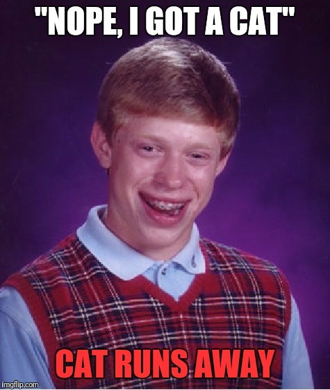 Bad Luck Brian Meme | "NOPE, I GOT A CAT" CAT RUNS AWAY | image tagged in memes,bad luck brian | made w/ Imgflip meme maker