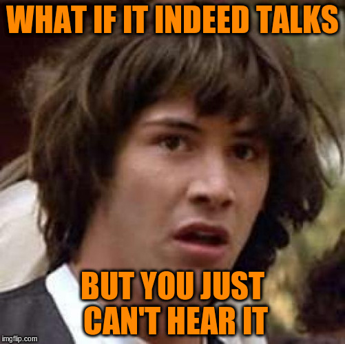 Conspiracy Keanu Meme | WHAT IF IT INDEED TALKS BUT YOU JUST CAN'T HEAR IT | image tagged in memes,conspiracy keanu | made w/ Imgflip meme maker