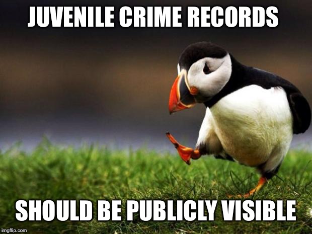 Communities should have the right to know who dangerous teens are | JUVENILE CRIME RECORDS; SHOULD BE PUBLICLY VISIBLE | image tagged in memes,unpopular opinion puffin | made w/ Imgflip meme maker
