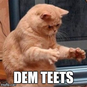 Dat ass cat | DEM TEETS | image tagged in dat ass cat | made w/ Imgflip meme maker