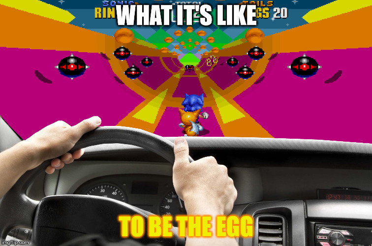 Saw this on the Sonic The Hedgehog twitter post and wanted to make one of my own. | WHAT IT'S LIKE; TO BE THE EGG | image tagged in sonic,meme,funny | made w/ Imgflip meme maker