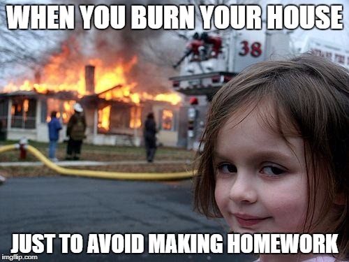 Disaster Girl | WHEN YOU BURN YOUR HOUSE; JUST TO AVOID MAKING HOMEWORK | image tagged in memes,disaster girl | made w/ Imgflip meme maker