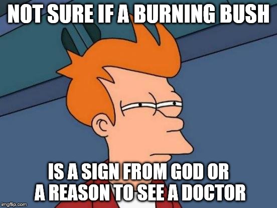 Futurama Fry Meme | NOT SURE IF A BURNING BUSH; IS A SIGN FROM GOD OR A REASON TO SEE A DOCTOR | image tagged in memes,futurama fry | made w/ Imgflip meme maker