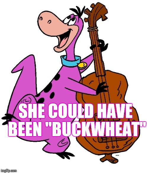 Dino | SHE COULD HAVE BEEN "BUCKWHEAT" | image tagged in dino | made w/ Imgflip meme maker