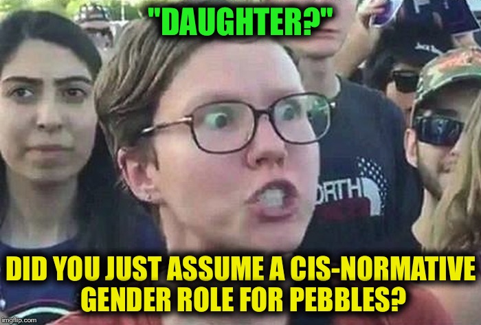 I am so Triggered! | "DAUGHTER?" DID YOU JUST ASSUME A CIS-NORMATIVE GENDER ROLE FOR PEBBLES? | image tagged in i am so triggered | made w/ Imgflip meme maker