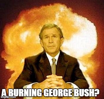 The Flames did not Consume me... but they still hurt | A BURNING GEORGE BUSH? | image tagged in vince vance,burning bush,george bush,george w bush,moses,bible | made w/ Imgflip meme maker