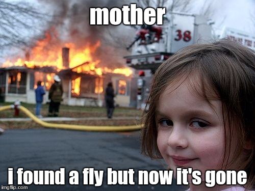 Disaster Girl Meme | mother; i found a fly but now it's gone | image tagged in memes,disaster girl | made w/ Imgflip meme maker