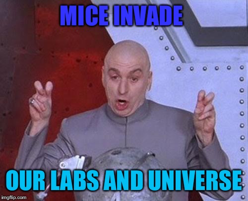 Dr Evil Laser Meme | MICE INVADE; OUR LABS AND UNIVERSE | image tagged in memes,dr evil laser | made w/ Imgflip meme maker