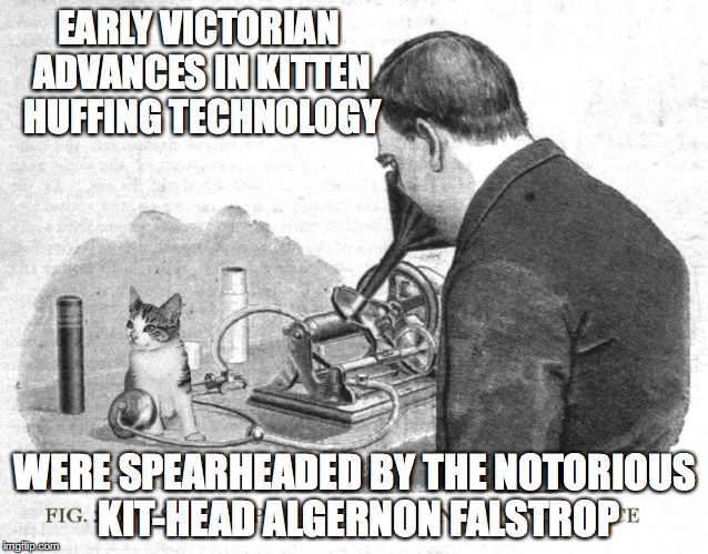 Falstrop's Amazing Kitten Huffing Device | EARLY VICTORIAN ADVANCES IN KITTEN HUFFING TECHNOLOGY; WERE SPEARHEADED BY THE NOTORIOUS KIT-HEAD ALGERNON FALSTROP | image tagged in memes,kitten | made w/ Imgflip meme maker