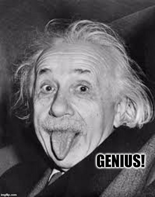 Can a Genius Be Fun? | GENIUS! | image tagged in vince vance,albert einstein,emc2,the theory of relativity,einstein sticking out his tongue,what is genius | made w/ Imgflip meme maker