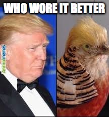 WHO WORE IT BETTER | image tagged in trump,bad hair day | made w/ Imgflip meme maker
