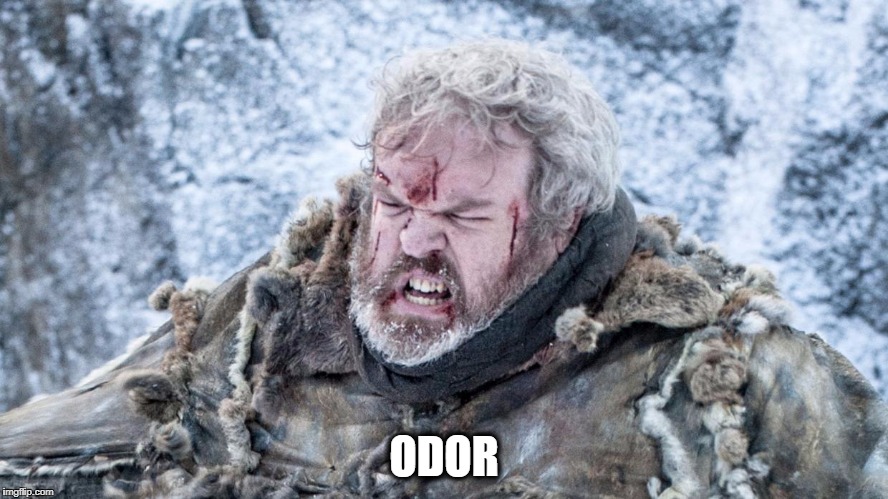 hodor | ODOR | image tagged in hodor | made w/ Imgflip meme maker