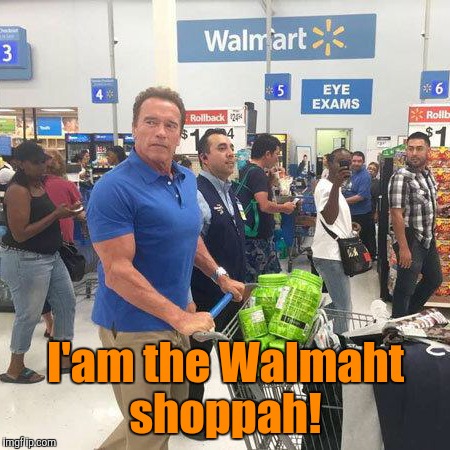 Must suck not making as much money as you used to.  | I'am the Walmaht shoppah! | image tagged in funny meme,arnold schwarzenegger,walmart,chopper | made w/ Imgflip meme maker