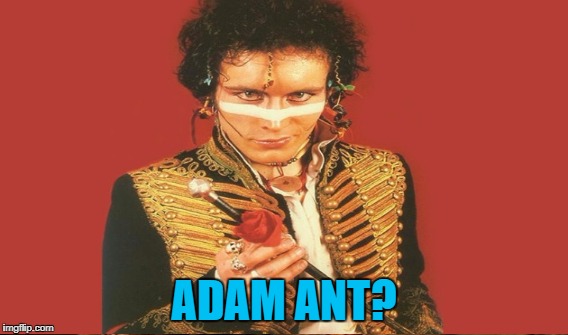 ADAM ANT? | made w/ Imgflip meme maker