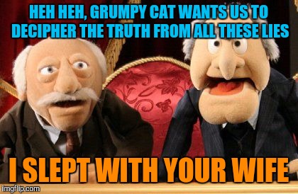 HEH HEH, GRUMPY CAT WANTS US TO DECIPHER THE TRUTH FROM ALL THESE LIES I SLEPT WITH YOUR WIFE | made w/ Imgflip meme maker