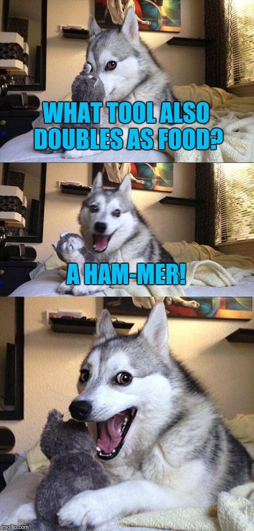Had this for a while. Who'd of think of it? | WHAT TOOL ALSO DOUBLES AS FOOD? A HAM-MER! | image tagged in memes,bad pun dog,funny | made w/ Imgflip meme maker