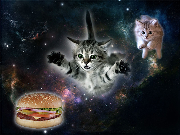 Cat Space Burger Blank Meme Template
