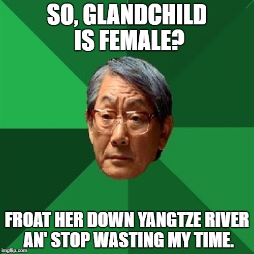 Harsh, but fair. | SO, GLANDCHILD IS FEMALE? FROAT HER DOWN YANGTZE RIVER AN' STOP WASTING MY TIME. | image tagged in memes,high expectations asian father | made w/ Imgflip meme maker