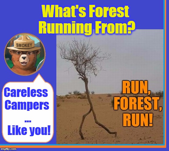 Only YOU Can Prevent Forest Fires! | What's Forest Running From? Careless Campers   ...    Like you! | image tagged in vince vance,run forrest run,forrest gump,smokey the bear,forest gump,forrest gump running | made w/ Imgflip meme maker