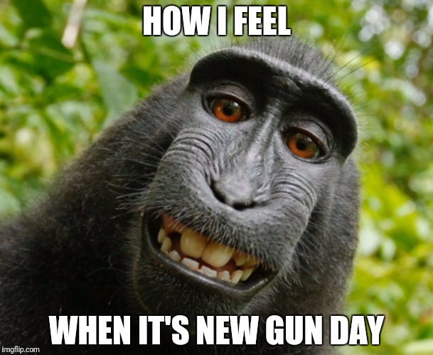 HOW I FEEL; WHEN IT'S NEW GUN DAY | made w/ Imgflip meme maker