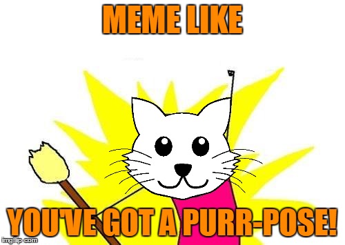 X All The Y Meme | MEME LIKE YOU'VE GOT A PURR-POSE! | image tagged in memes,x all the y | made w/ Imgflip meme maker
