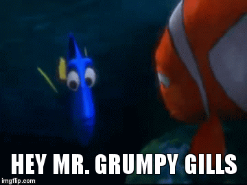 mr grumpy gills