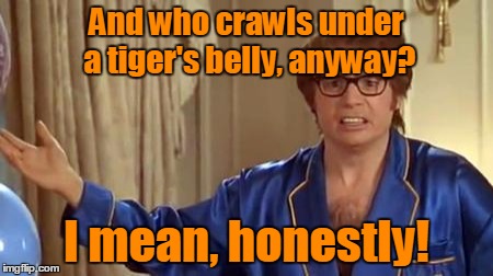 And who crawls under a tiger's belly, anyway? I mean, honestly! | made w/ Imgflip meme maker