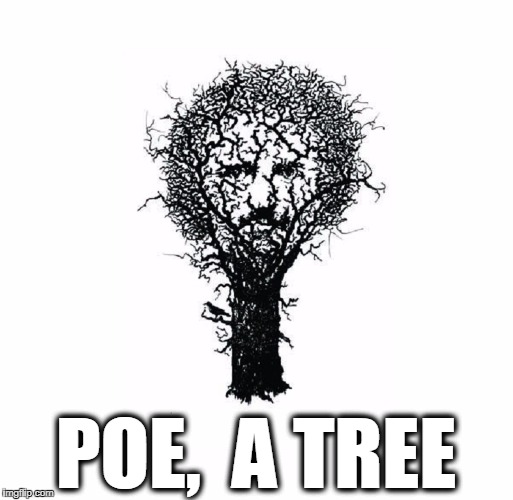 I Think that I will Never See a Poe as Lovely as a Tree | POE,  A TREE | image tagged in vince vance,edgar allan poe,poetry,quote the raven,quoth the raven,nevermore | made w/ Imgflip meme maker