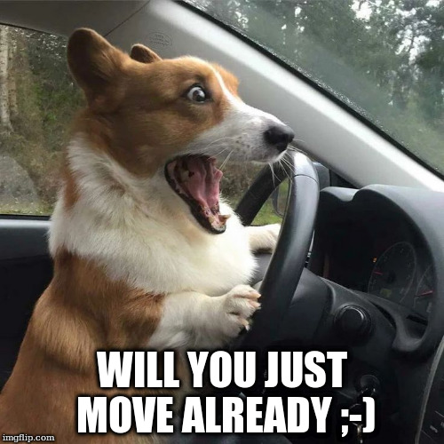 WILL YOU JUST MOVE ALREADY ;-) | made w/ Imgflip meme maker