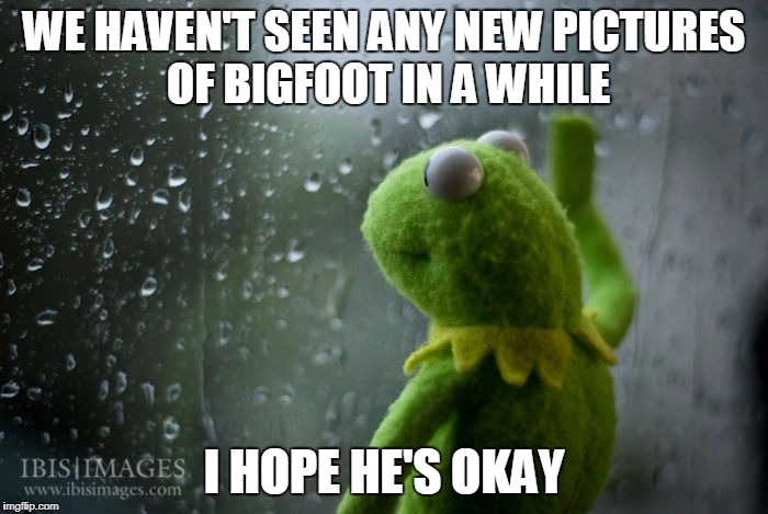 kermit window |  WE HAVEN'T SEEN ANY NEW PICTURES OF BIGFOOT IN A WHILE; I HOPE HE'S OKAY | image tagged in kermit window,kermit,kermit the frog,bigfoot,wondering | made w/ Imgflip meme maker