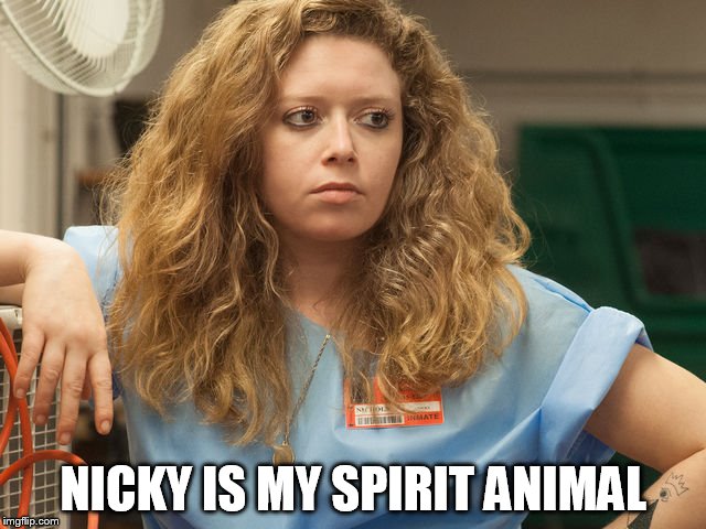 NICKY IS MY SPIRIT ANIMAL | image tagged in nicky | made w/ Imgflip meme maker