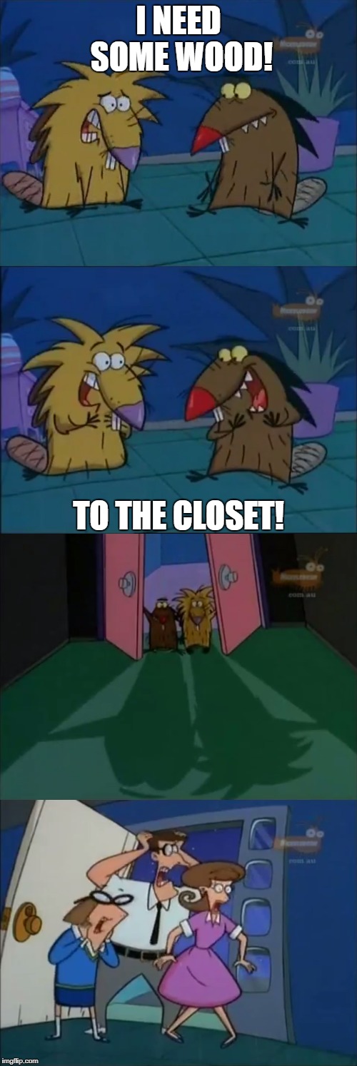 I NEED SOME WOOD! TO THE CLOSET! | image tagged in the angry beavers | made w/ Imgflip meme maker