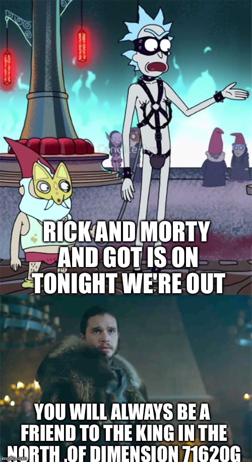 What you watchin | RICK AND MORTY AND GOT IS ON TONIGHT WE'RE OUT; YOU WILL ALWAYS BE A FRIEND TO THE KING IN THE NORTH ,OF DIMENSION 71620G | image tagged in rick and morty,game of thrones,funny,memes,animals,mashup | made w/ Imgflip meme maker