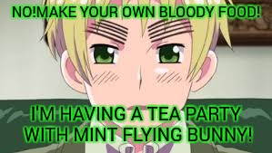 NO!MAKE YOUR OWN BLOODY FOOD! I'M HAVING A TEA PARTY WITH MINT FLYING BUNNY! | made w/ Imgflip meme maker